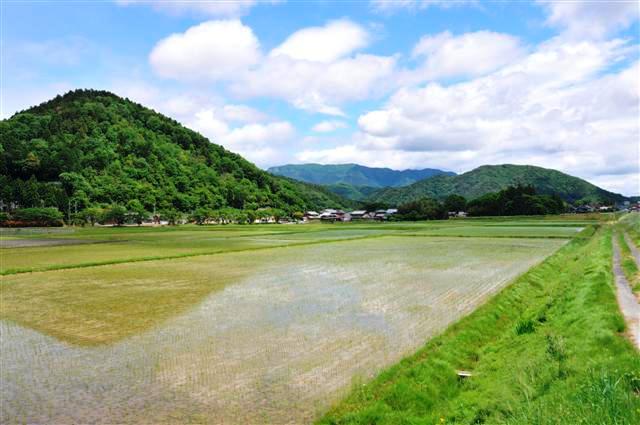 gifu2
